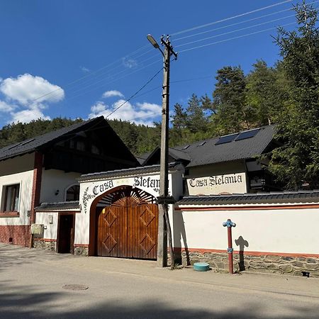 Casa Stefania Hotel Tălmaciu Buitenkant foto