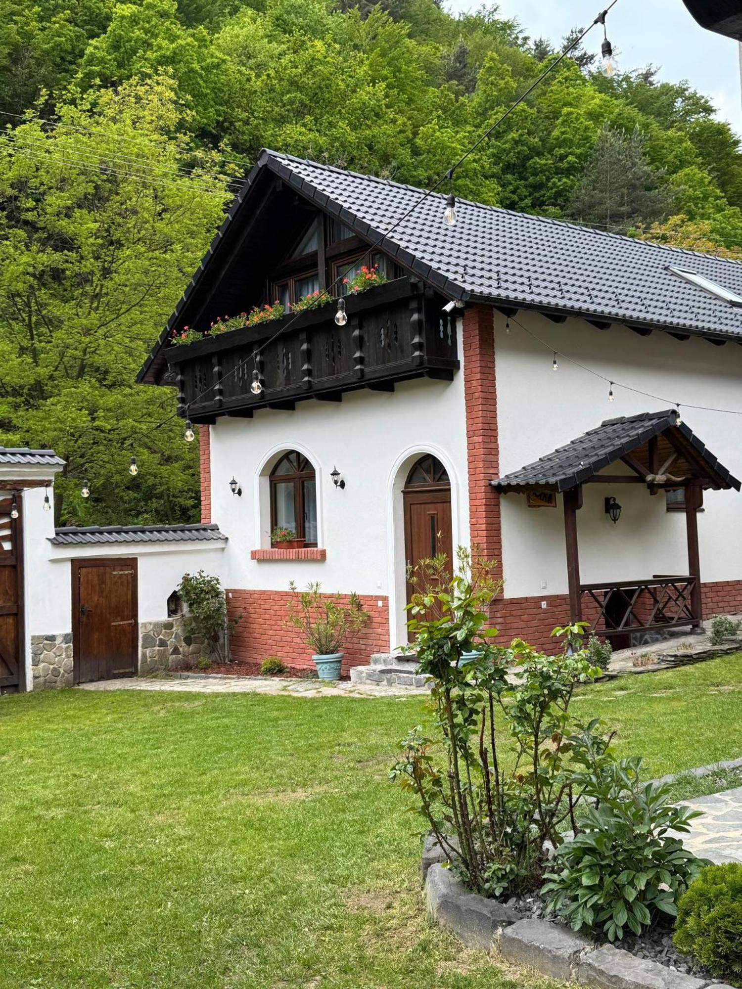 Casa Stefania Hotel Tălmaciu Buitenkant foto