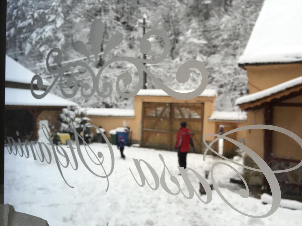 Casa Stefania Hotel Tălmaciu Buitenkant foto