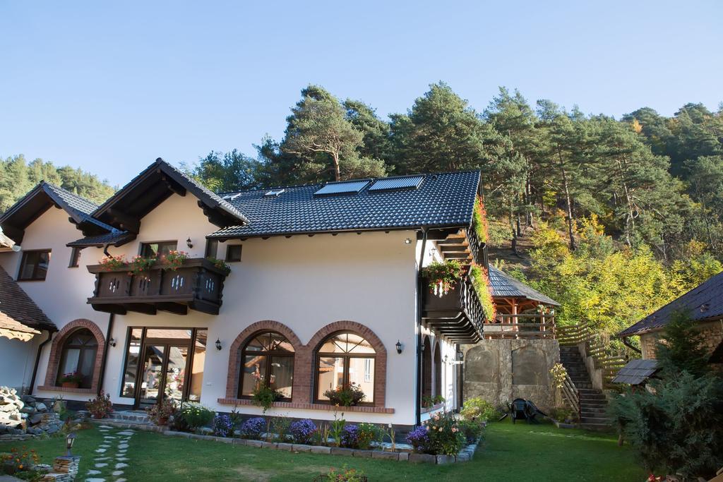 Casa Stefania Hotel Tălmaciu Buitenkant foto