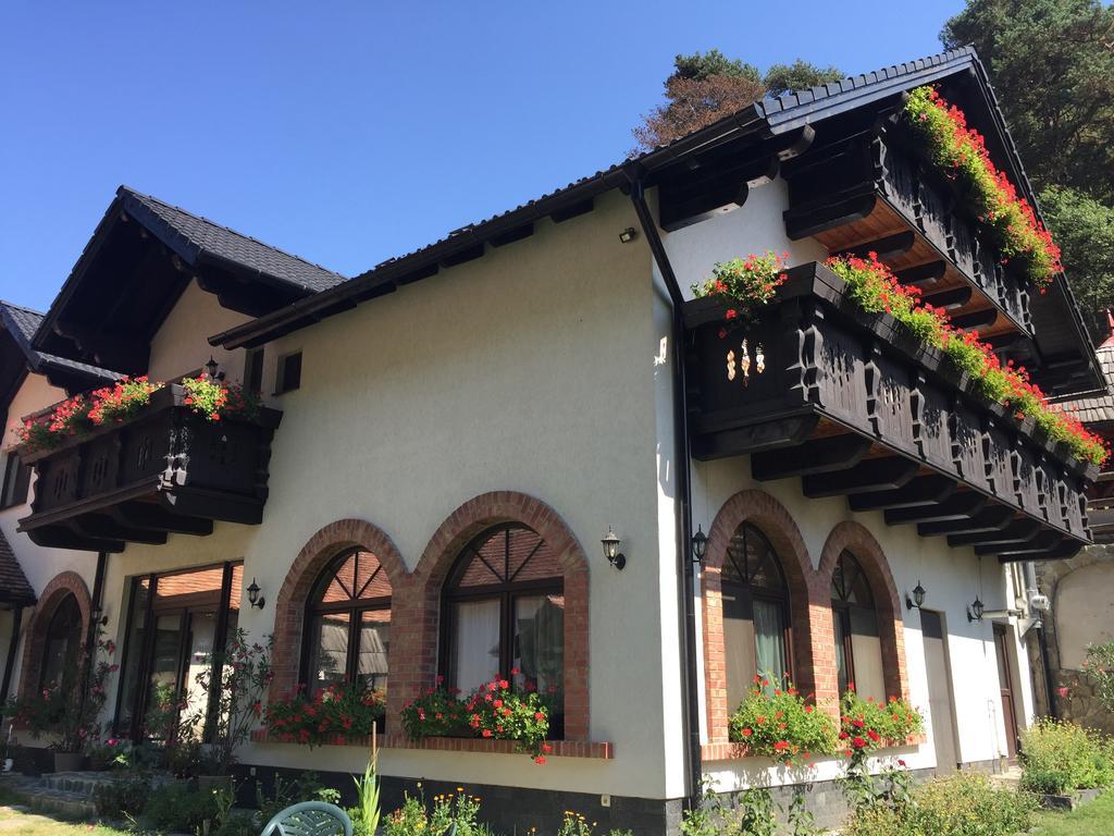 Casa Stefania Hotel Tălmaciu Buitenkant foto
