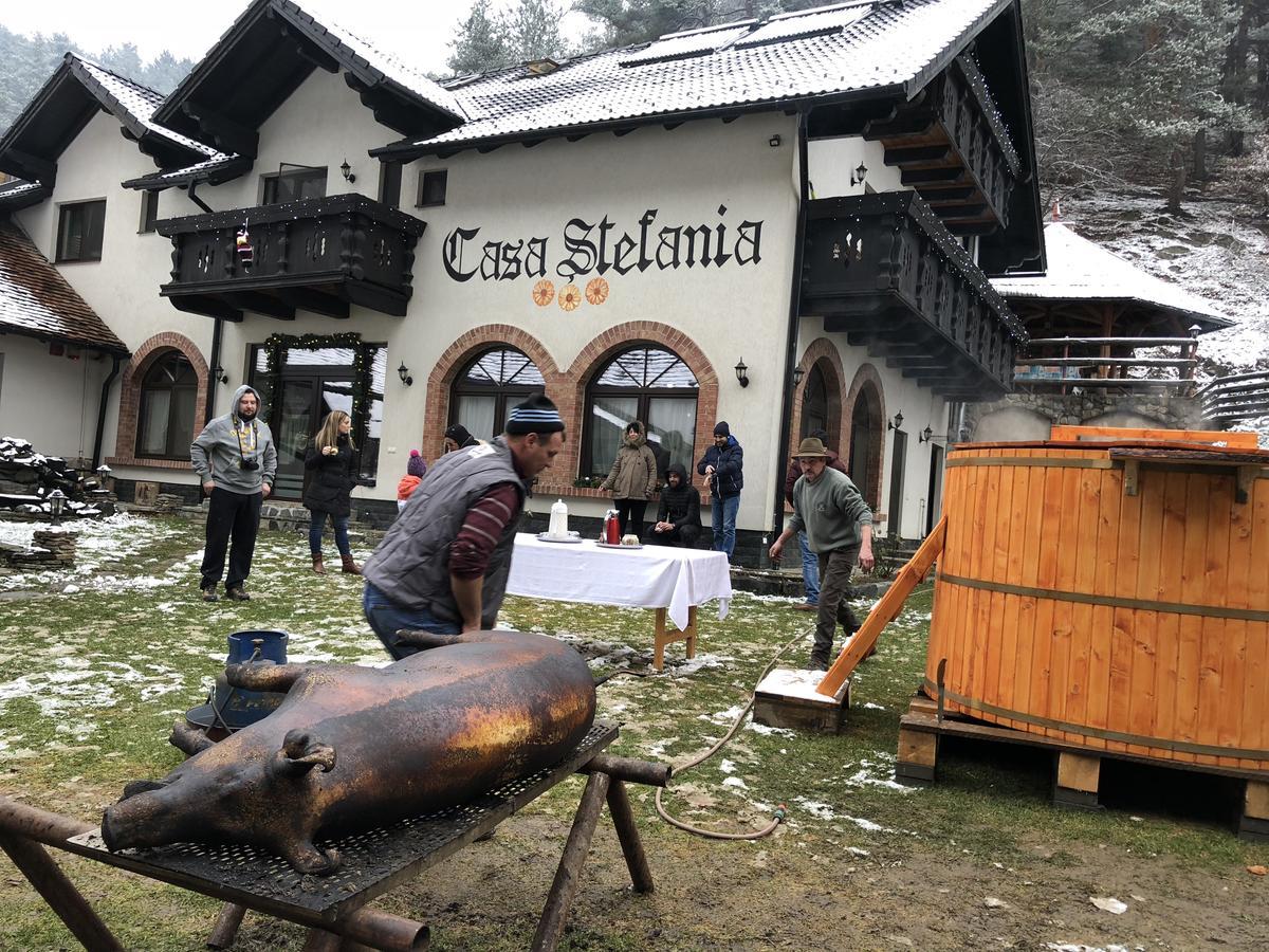 Casa Stefania Hotel Tălmaciu Buitenkant foto