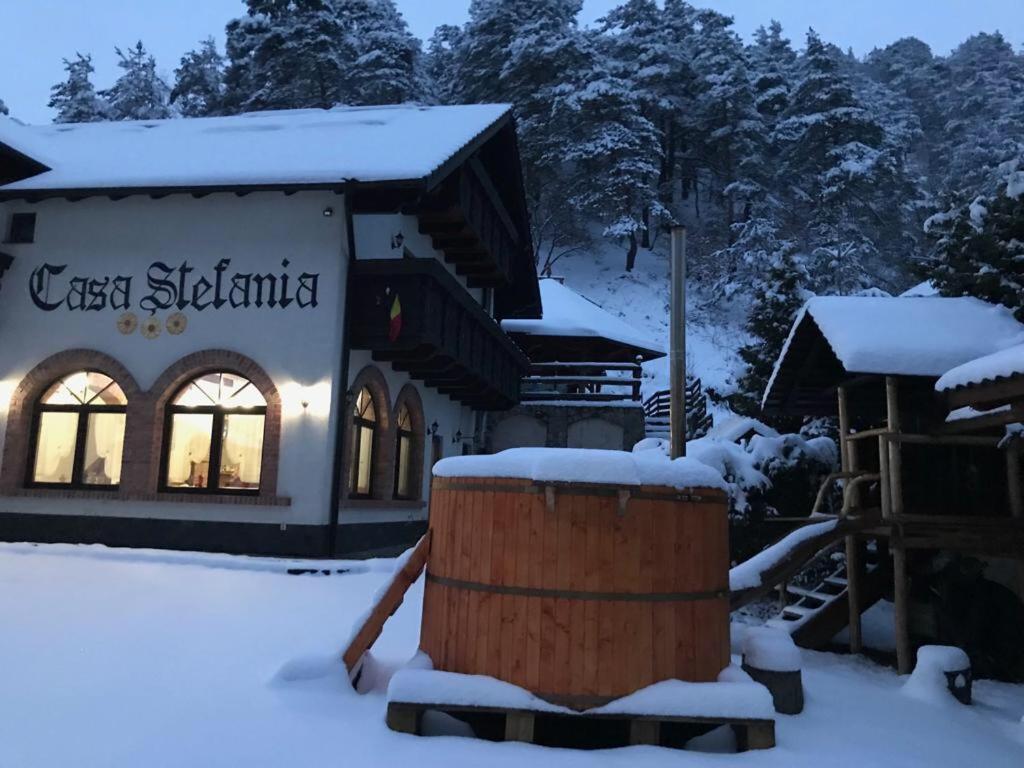 Casa Stefania Hotel Tălmaciu Buitenkant foto