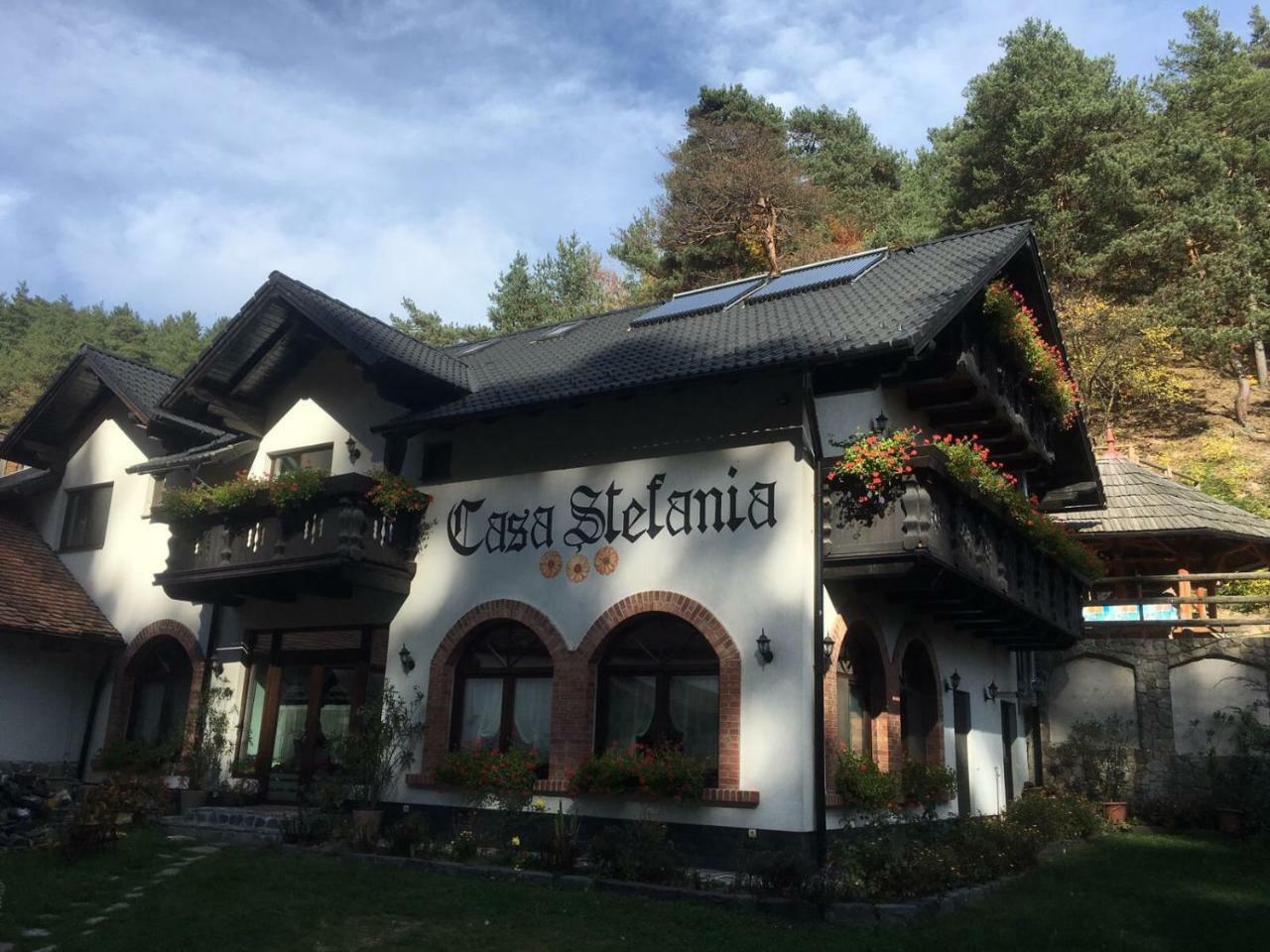 Casa Stefania Hotel Tălmaciu Buitenkant foto